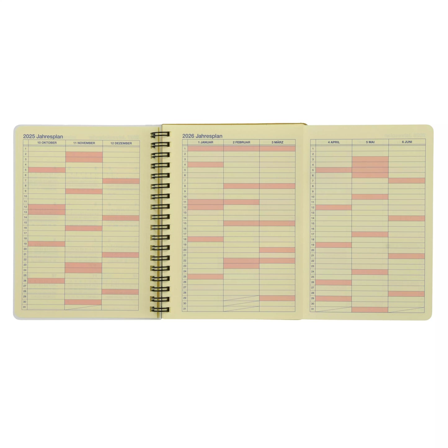 Donald & Friends Rollbahn Diary L Planner/Schedule Book CALENDAR & ORGANIZER 2026